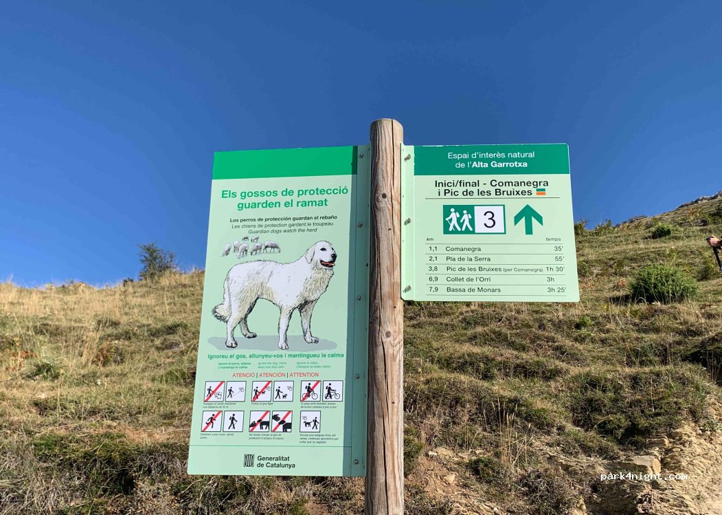 (17867) Camprodon - Camí de Monars — foto 3