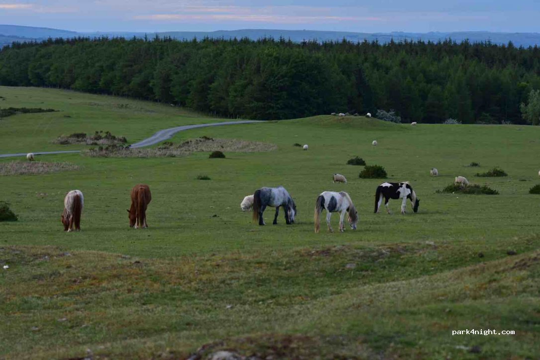 (HR3 5RL)  - Offa's Dyke Path — foto 2