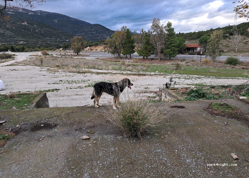 (221 00) Achladokampos - Ethniki Odos Argous Tripoleos — foto