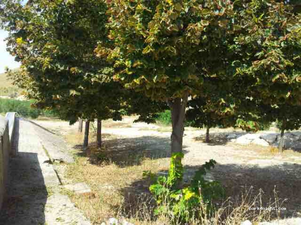 (50196) La Muela - Unnamed Road — foto