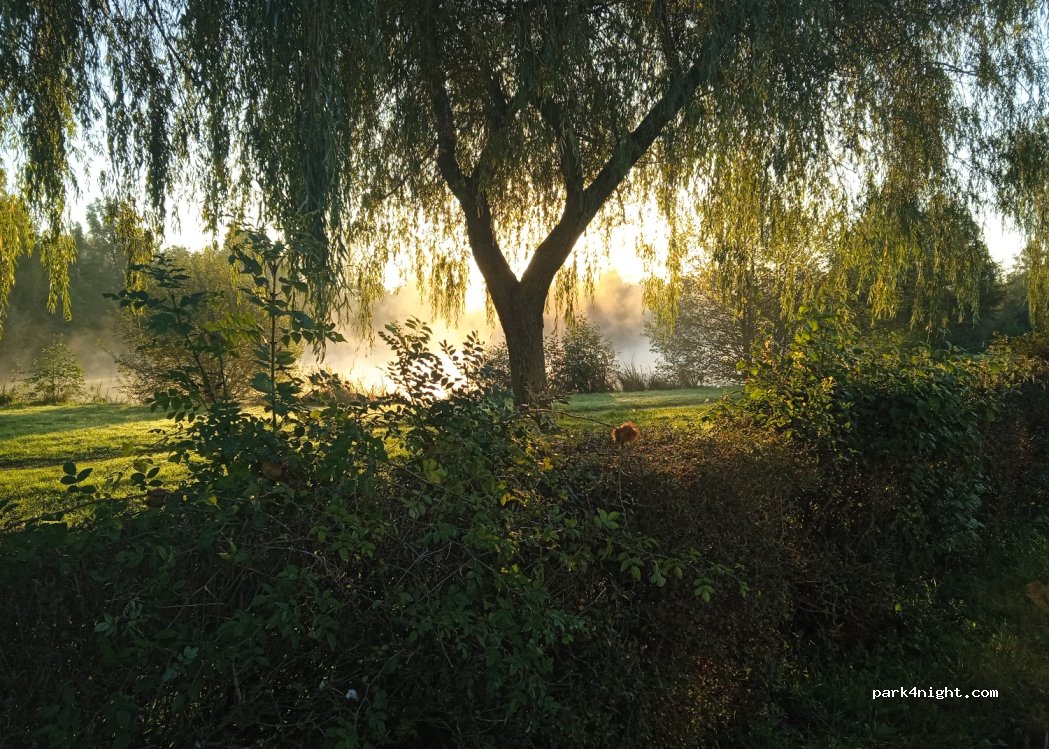 (89120) Charny - Eaux Bues — foto 4