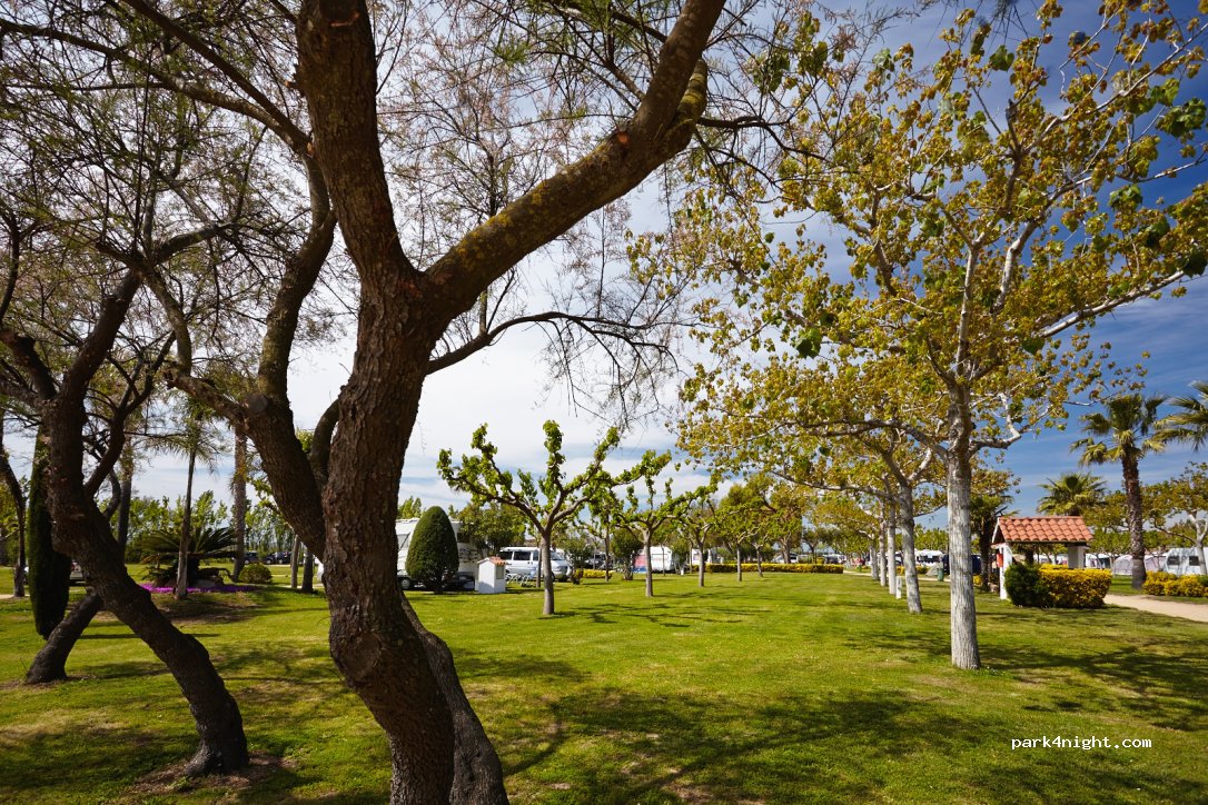 Camping las Palmeras Costa Brava — foto