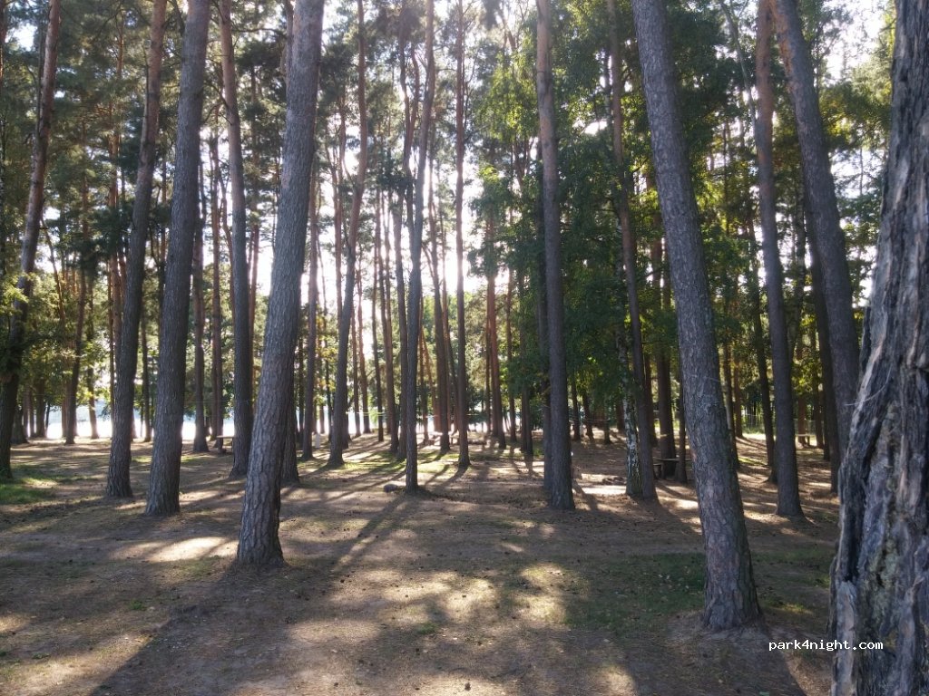 Binduga nr 69 — foto