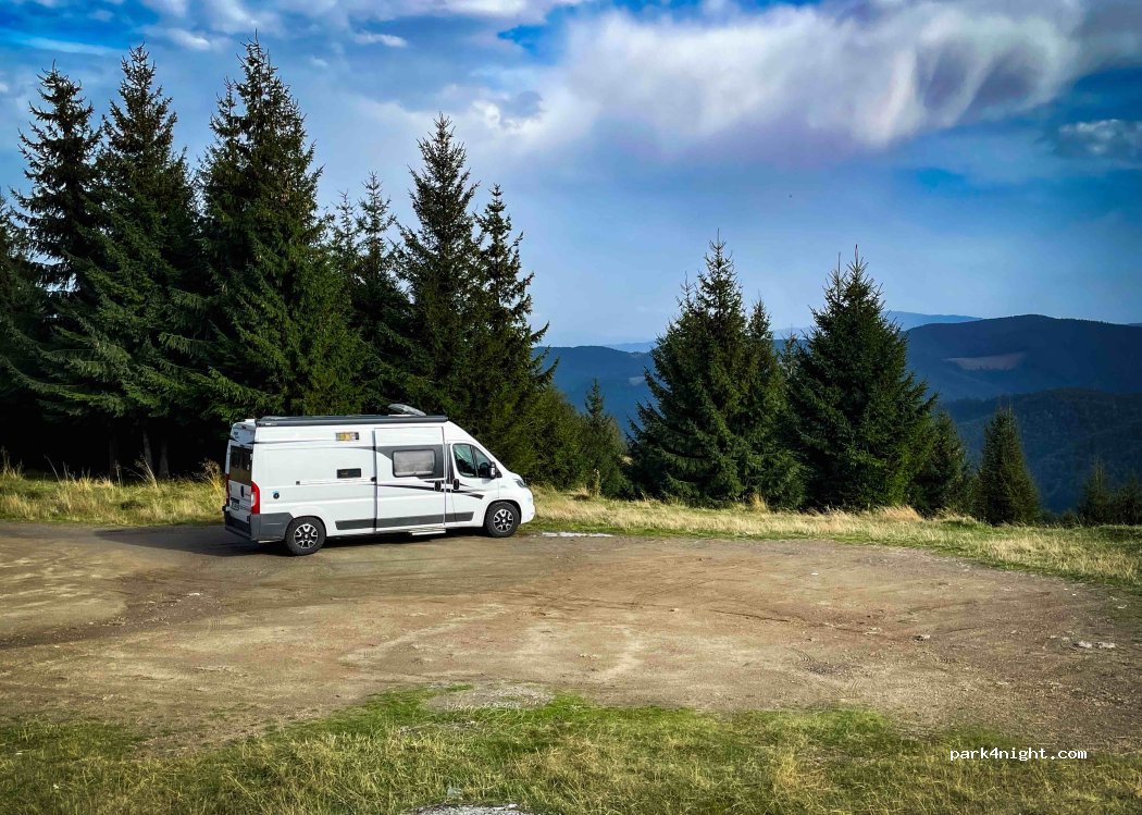 (550001) Păltiniș - DJ106A — foto 3