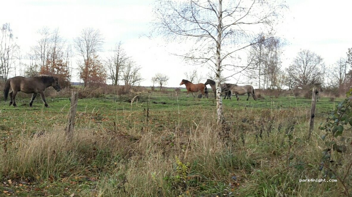(06722) Breitenbach - K2220 — foto 2