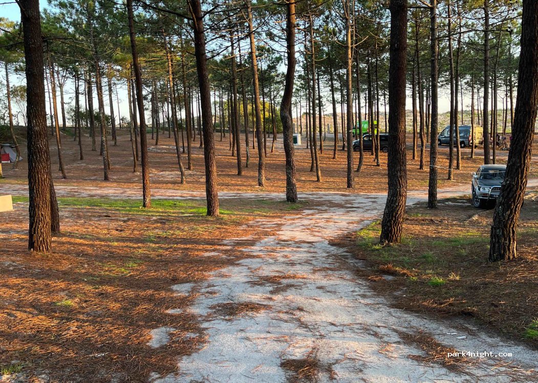 Parque de Campismo da Praia da Tocha — foto 4