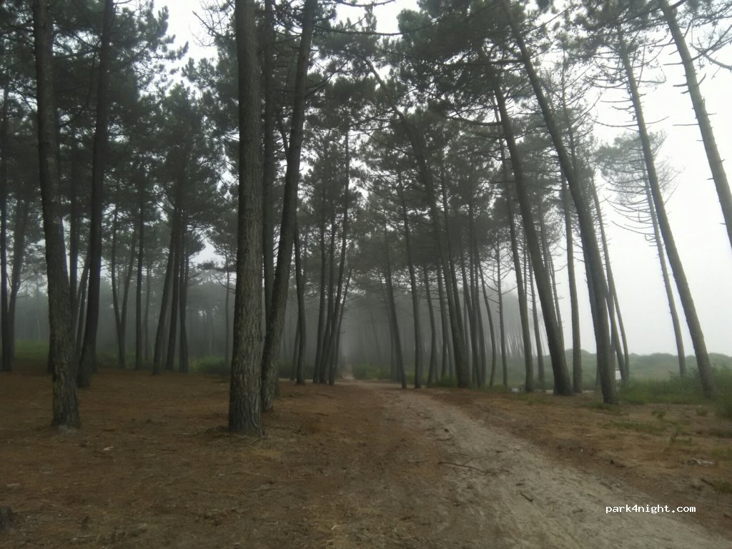 () Maceda - — foto 2