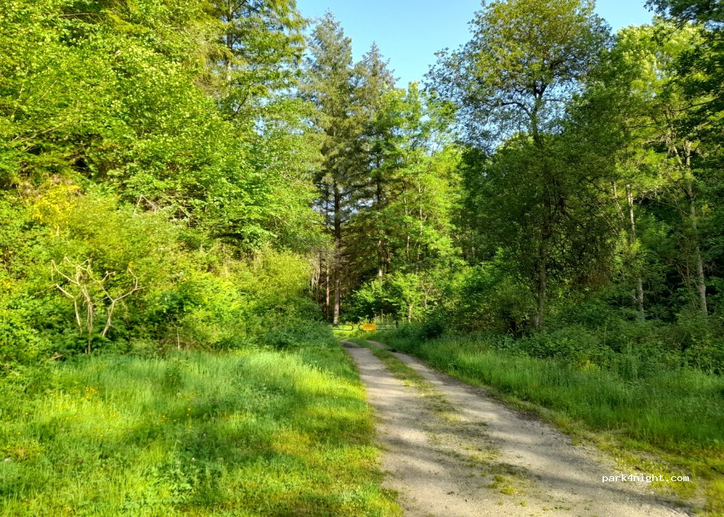 (09000) Alzen - D21 — foto 3