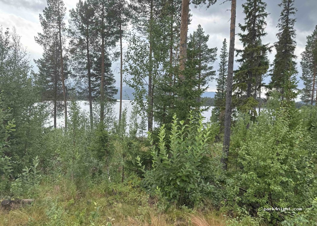 (923 97)  - Gardvik — foto 5