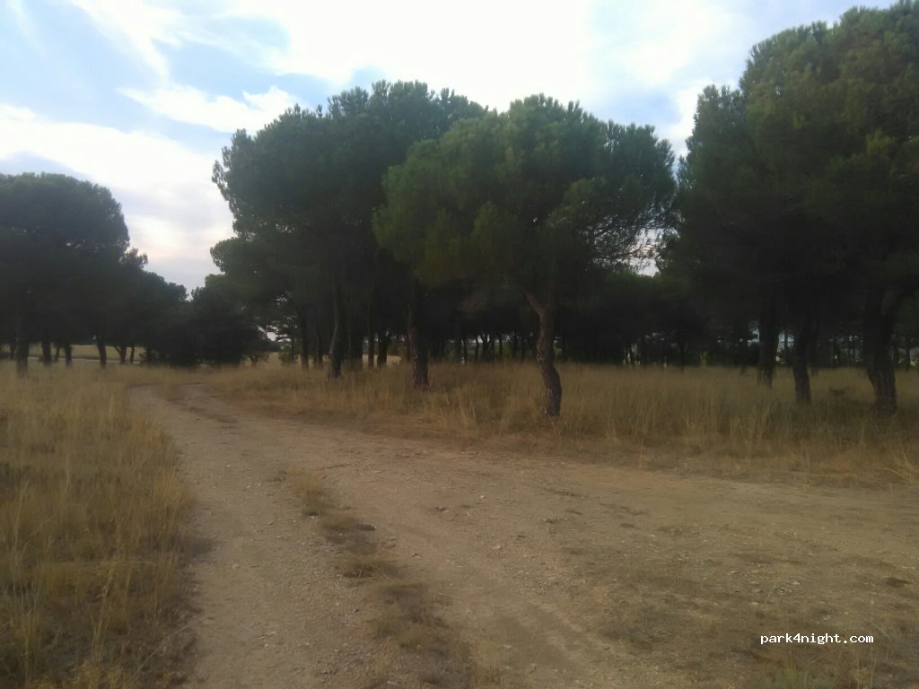() Dueñas - P-903 — foto