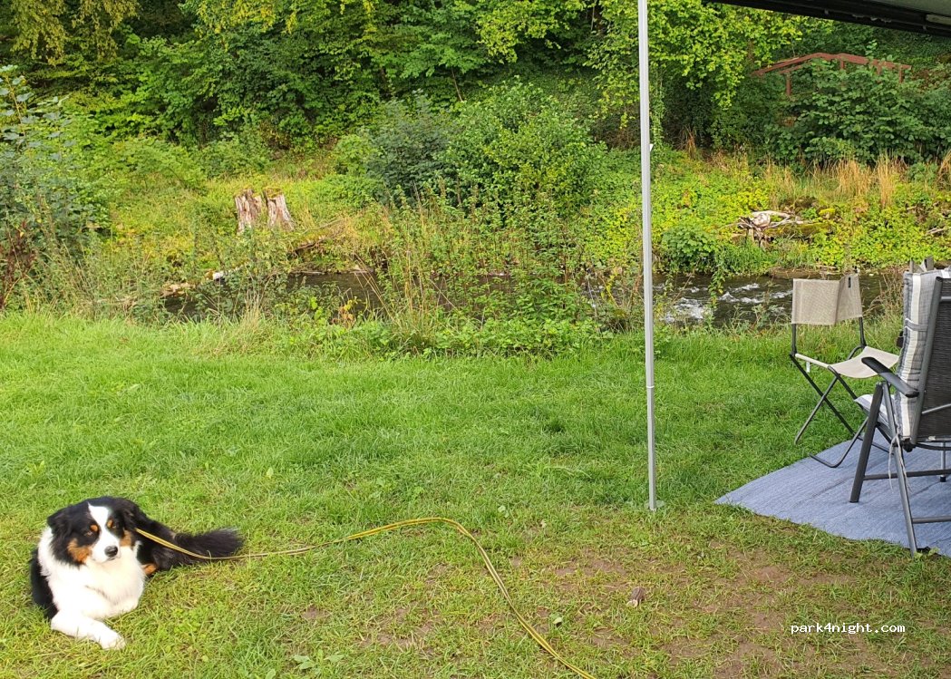 Camping Südeifel — foto 2