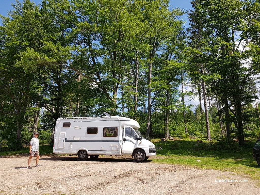 (58-564) Sosnówka - 9 Muflonowa — foto