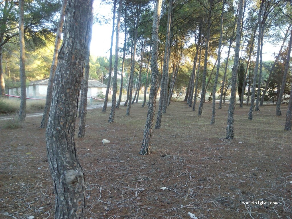 (03639) Sax - 211 Plaça Poligono 2 — foto 2