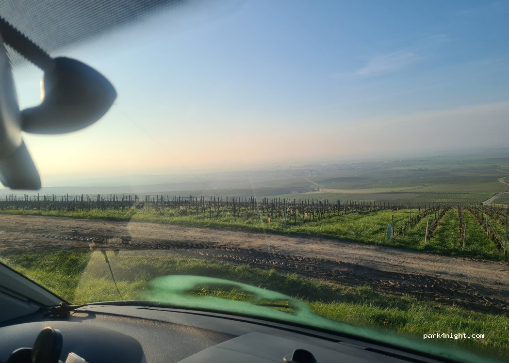 (51150) Bouzy - Unnamed Road — foto 4