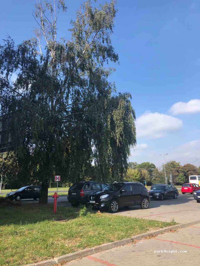 (91-071) Łódź - 5 Karskiego — foto