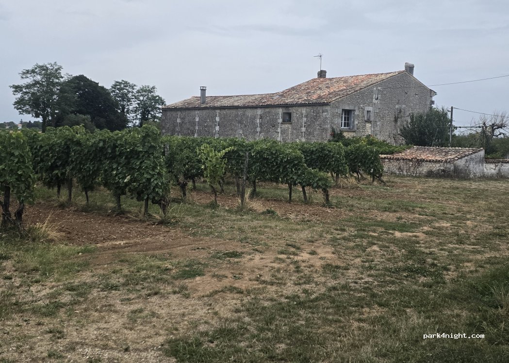 Vignoble Guérinaud — foto 5