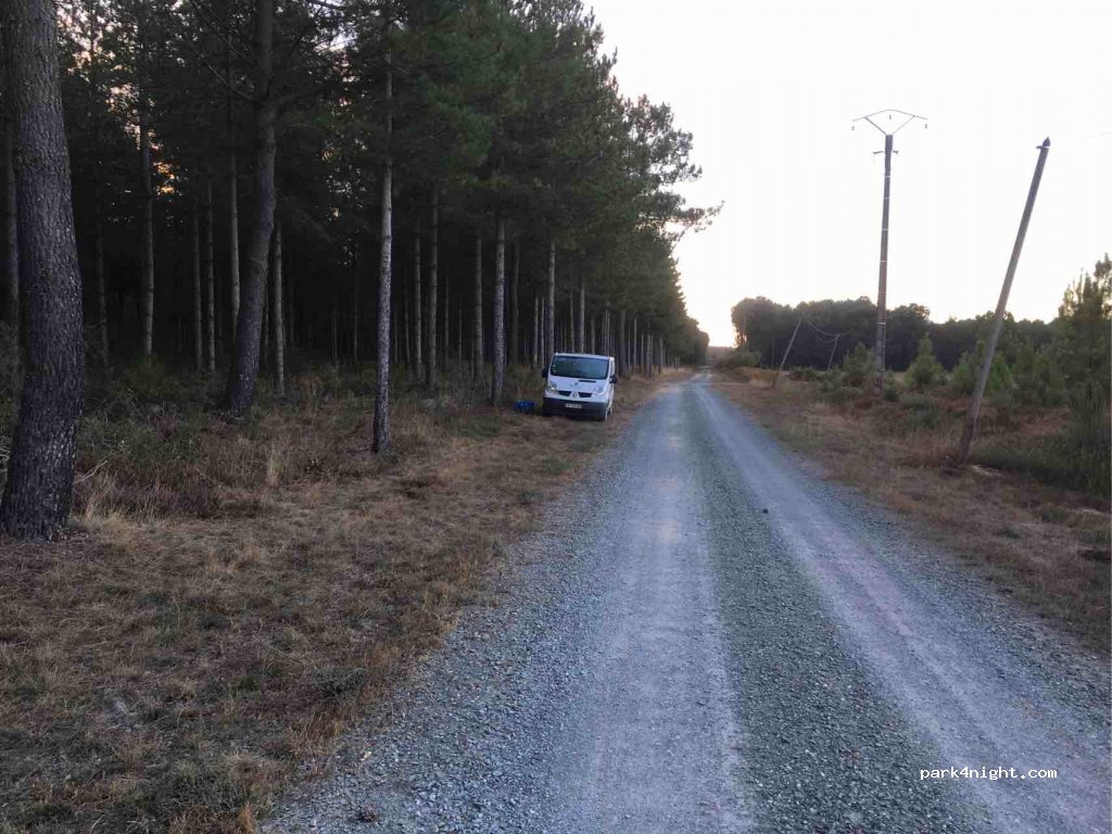 (49160) Longué-Jumelles - La Clairière — foto