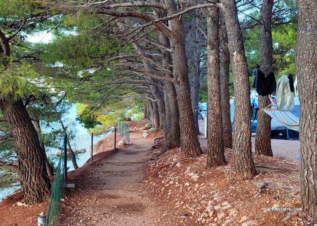 Camping Dole — foto 4