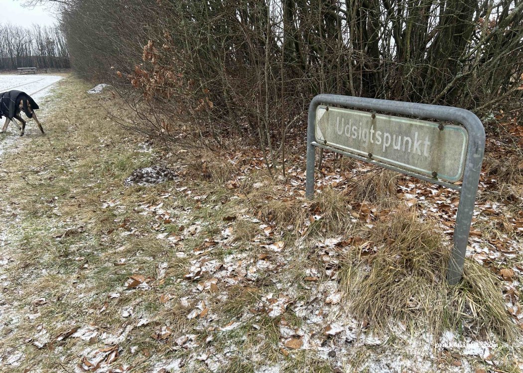 (7330) Brande - Bjerregårdvej — foto 3