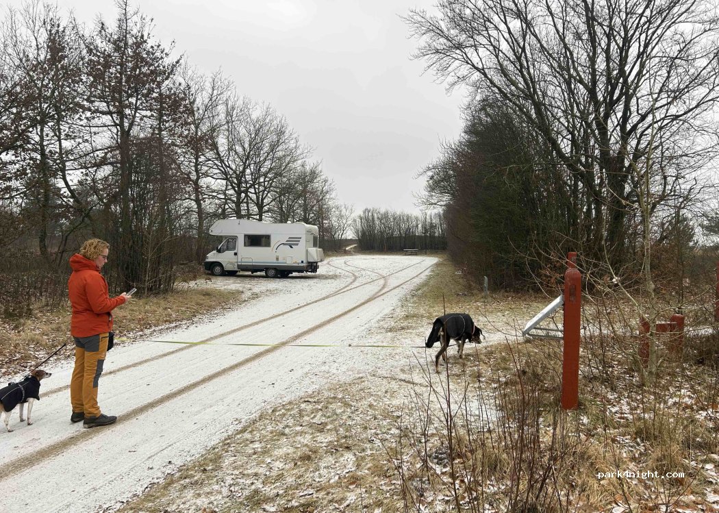 (7330) Brande - Bjerregårdvej — foto 5