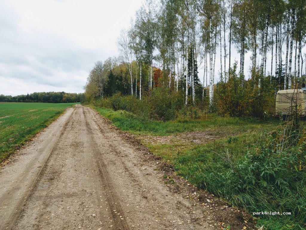 (3137) Irlavas pagasts - Unnamed Road — foto