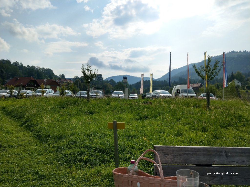 (3223) Langseitenrotte - 20 Langseitenrotte — foto