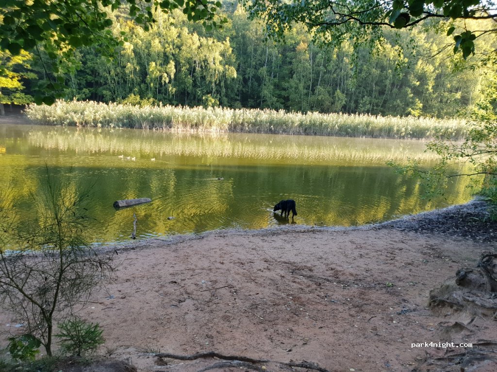 (67680) Neuhemsbach - 3 Randeckerhof — foto 2