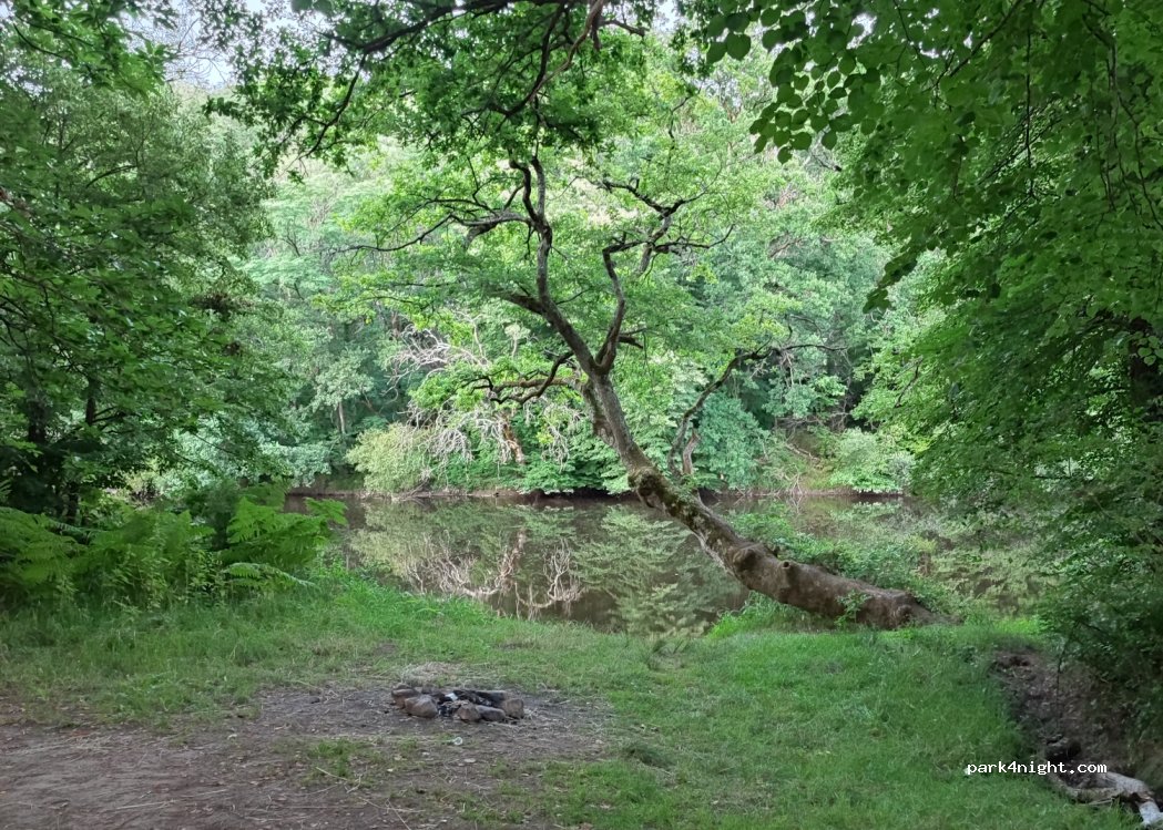 (86500) Saulgé - La Prade — foto 3