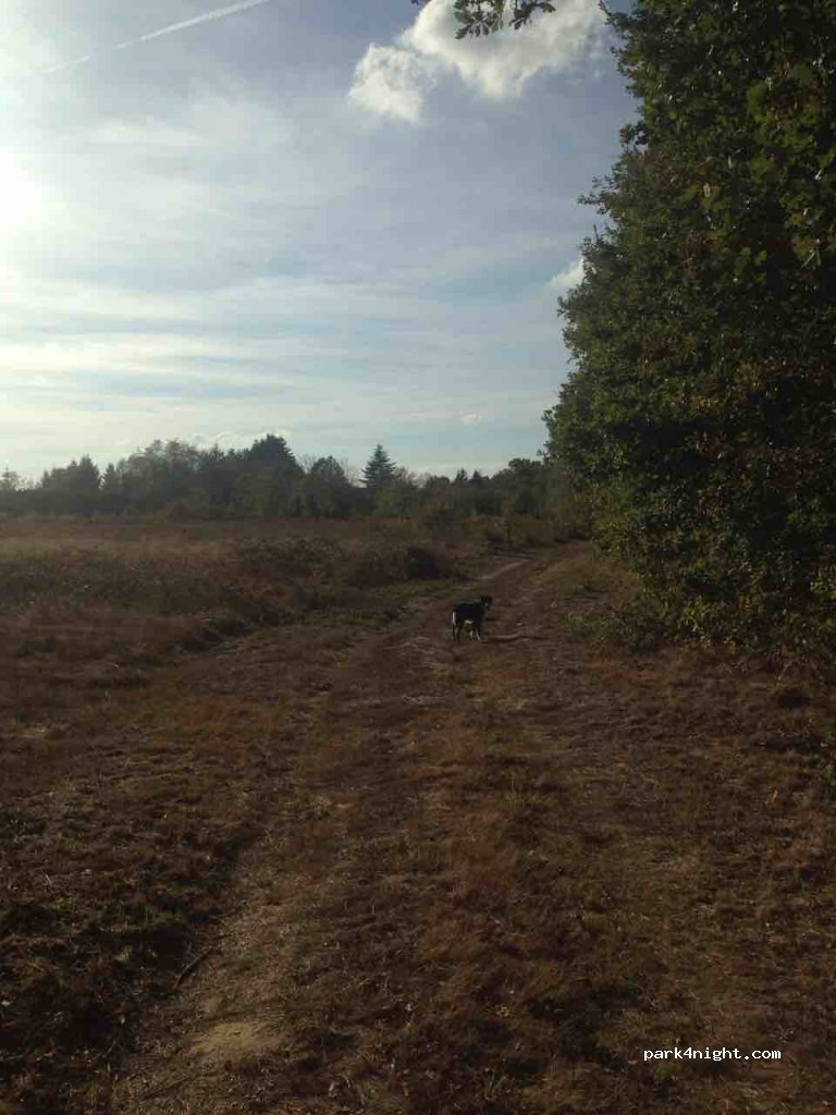 (24700) Ménesplet - D6089 — foto 3