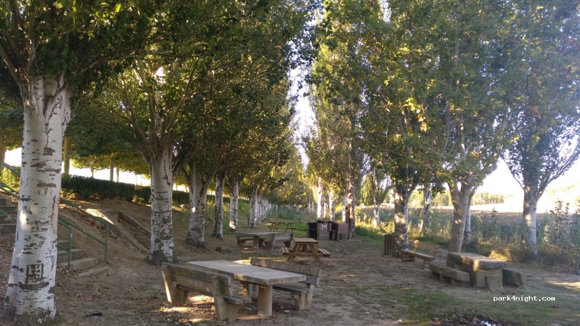 (31140) Artajona - NA-6020 — foto