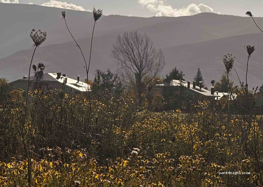 (17520) Puigcerdá - 31 Camí d'Ur — foto 4