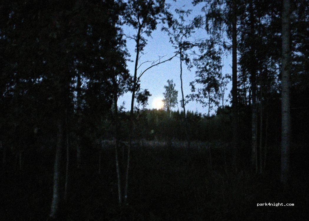 (81650) - 69 Suomuntie — foto 3