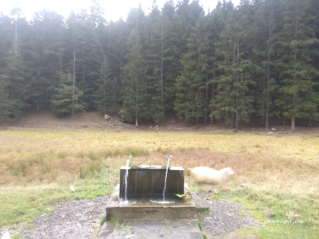 (08790) - Artvin Ardahan Yolu — foto 2