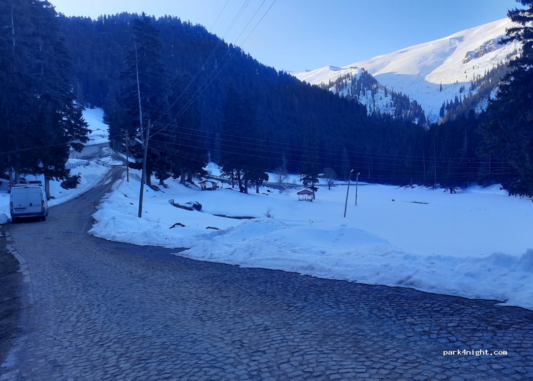(08790) - Artvin Ardahan Yolu — foto 3