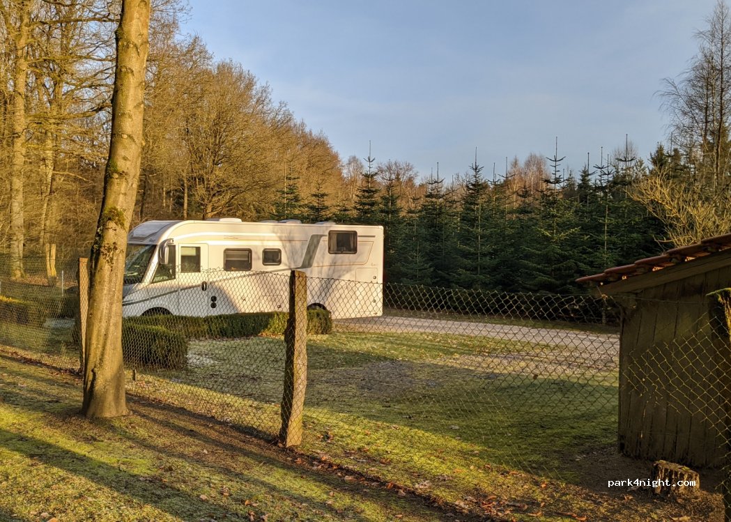 Zum Becklinger Holz — foto