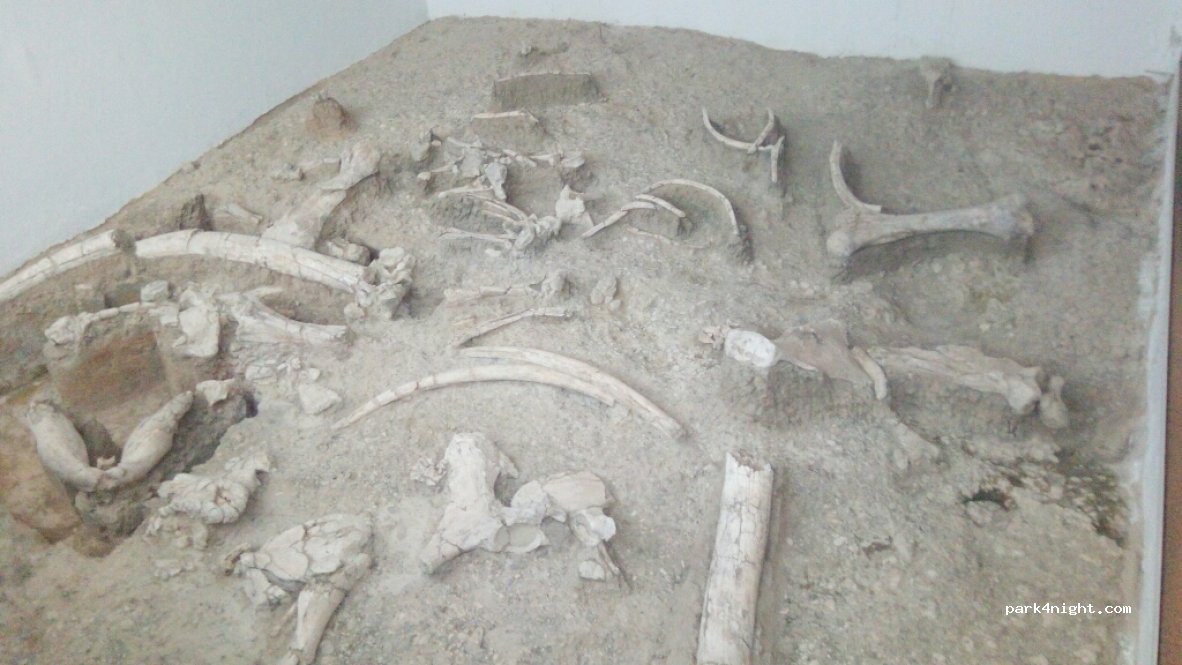 (42230) Ambrona - 1 Lugar Museo — foto 2
