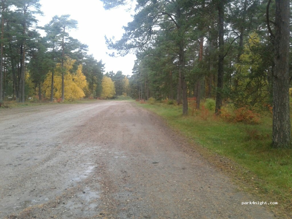(296 33)  - 8 Rådjursvägen — foto