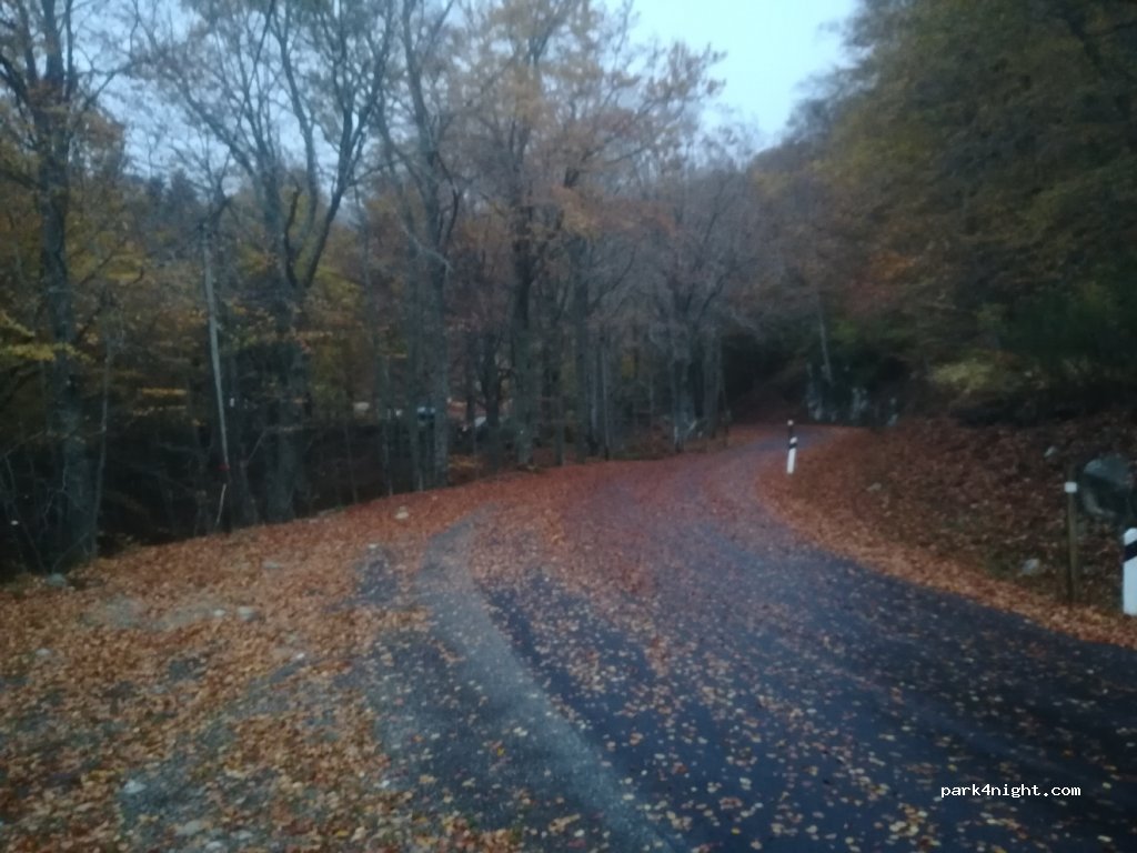 (66500) Mosset - D14 — foto 4