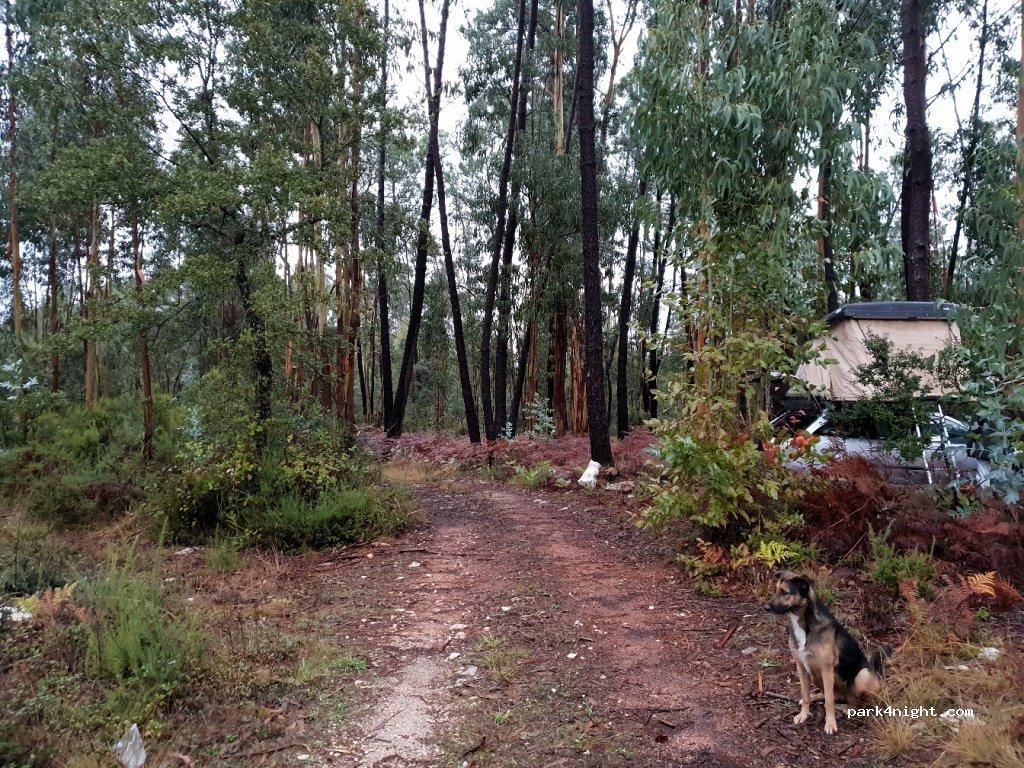 (2495) Fátima - Rua da Charneca — foto 2