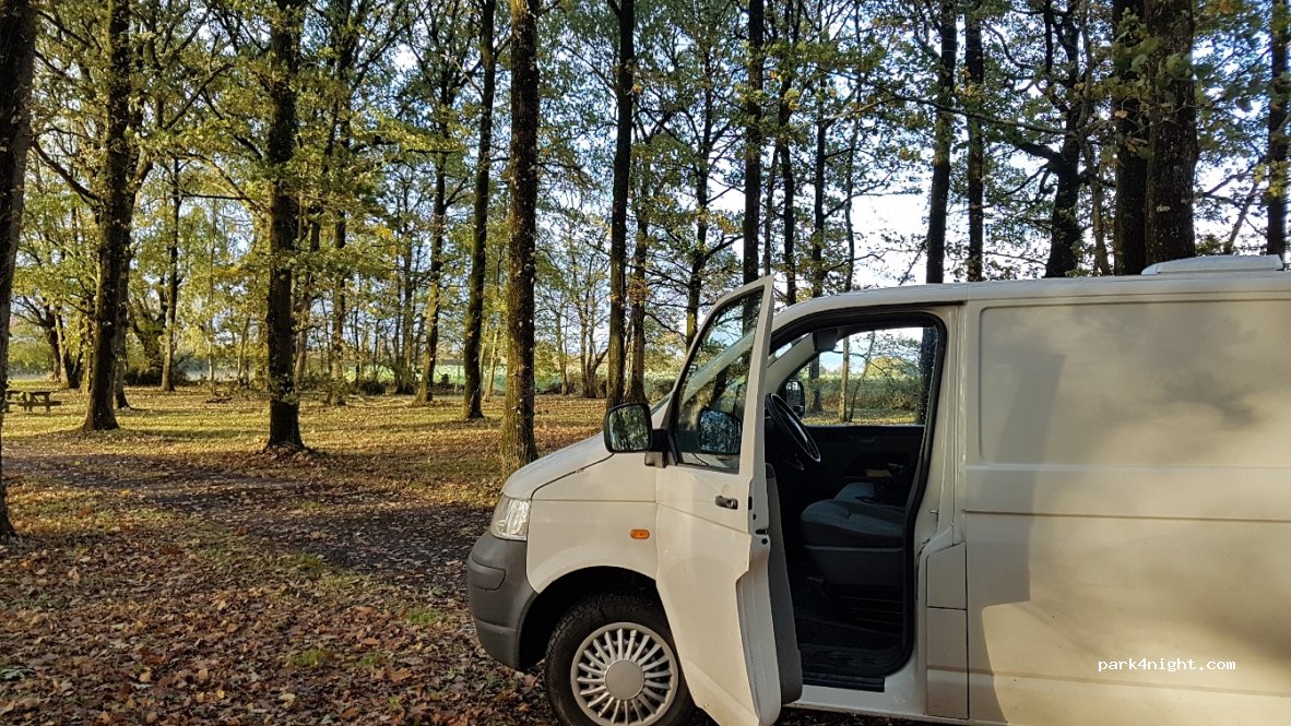 (85570) Marsais-Sainte-Radégonde - Plissette — foto