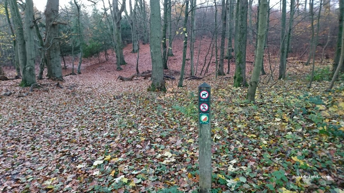(5500) Middelfart - 1 Indevejen — foto 2