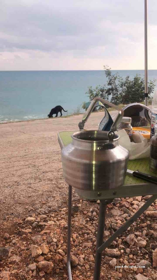 (33900) - Mersin - Antalya Yolu — foto 2