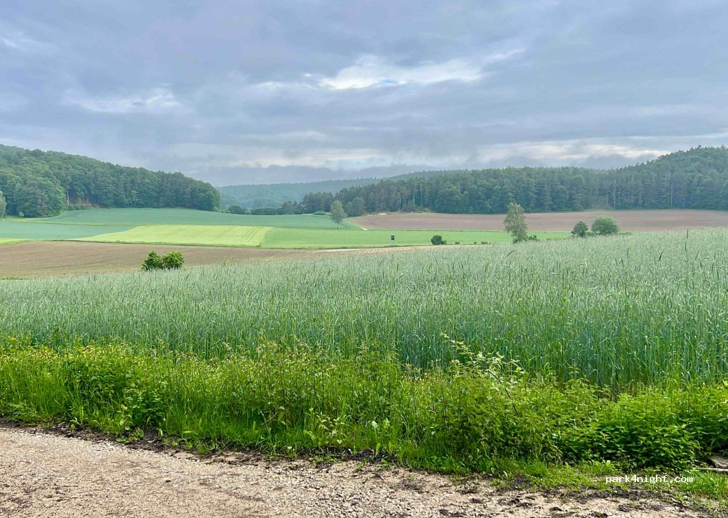 (91287) Plech - Unnamed Road — foto 4