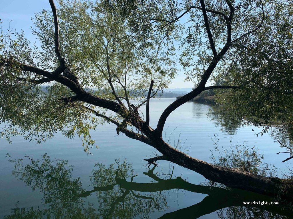 Campingplatz Rausenbach — foto 3