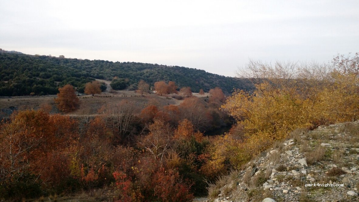 (591 32) - Unnamed Road — foto 3
