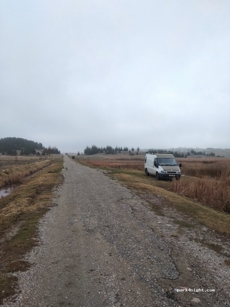 (43800) Köyü - Unnamed Road — foto