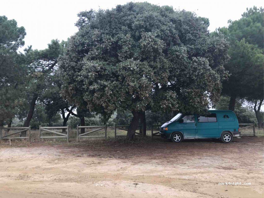 (28222) Majadahonda - Camino de la Dehesa — foto