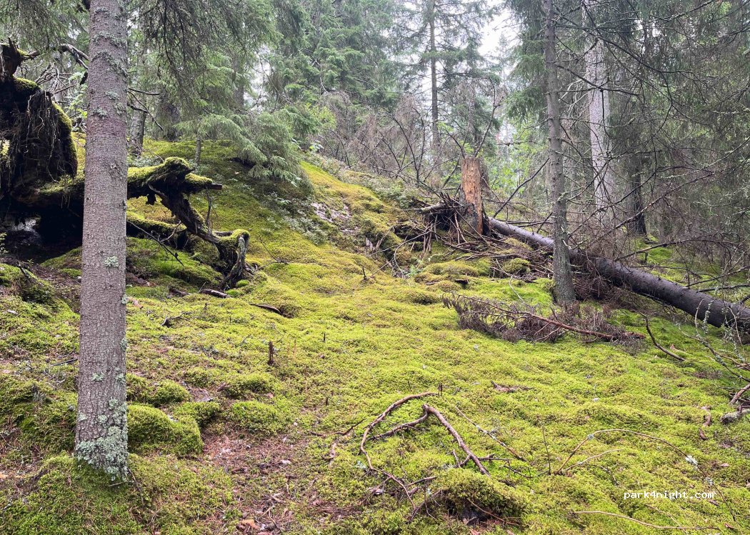(695 97) - 1A ÖSJÖNÄS LÄGERGÅRD — foto 2