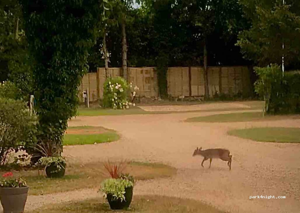Wysdom Touring Park — foto 2