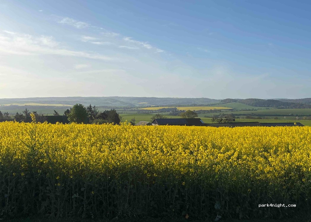 Ferme de la Roullière — foto 5